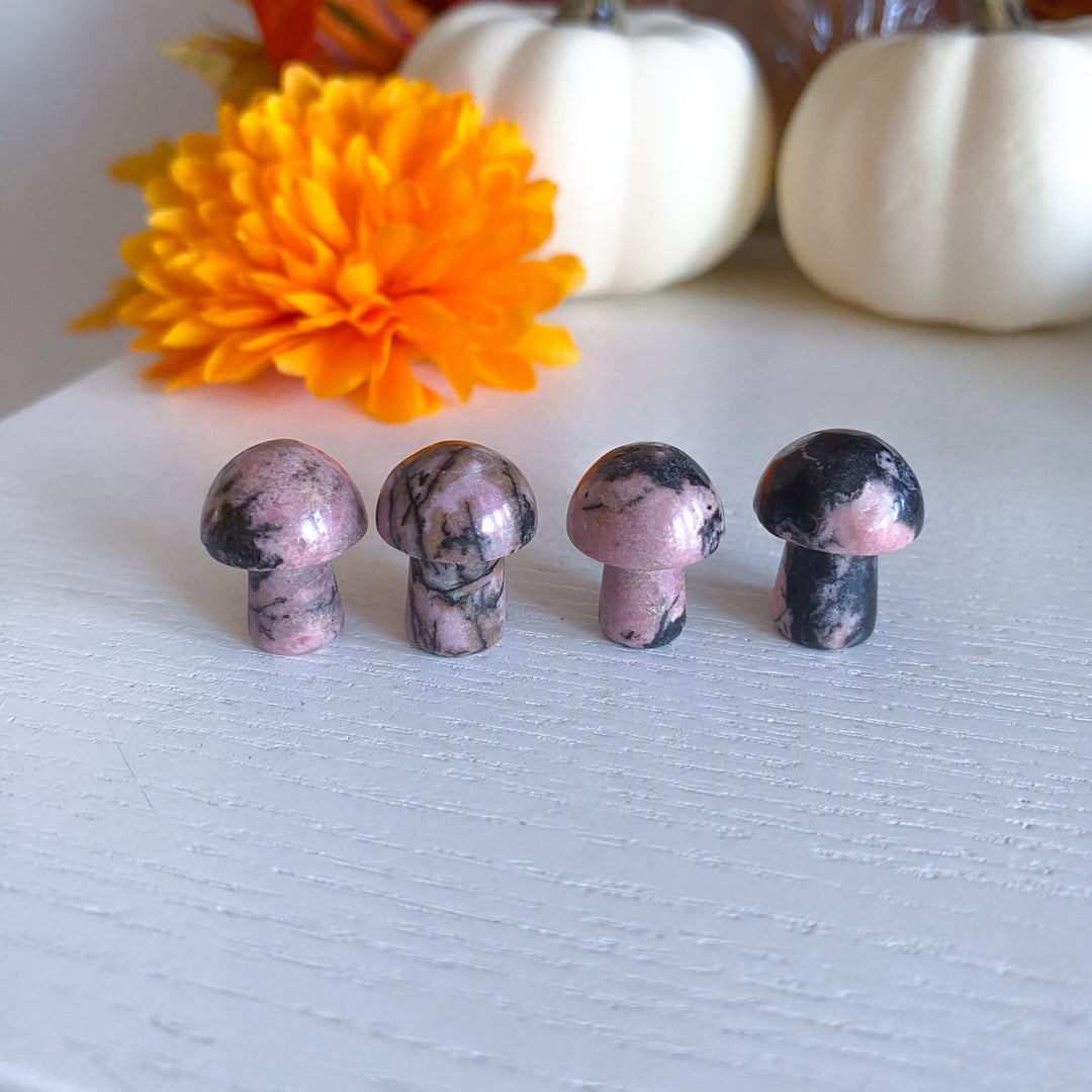 Rhodonite Mini Mushroom