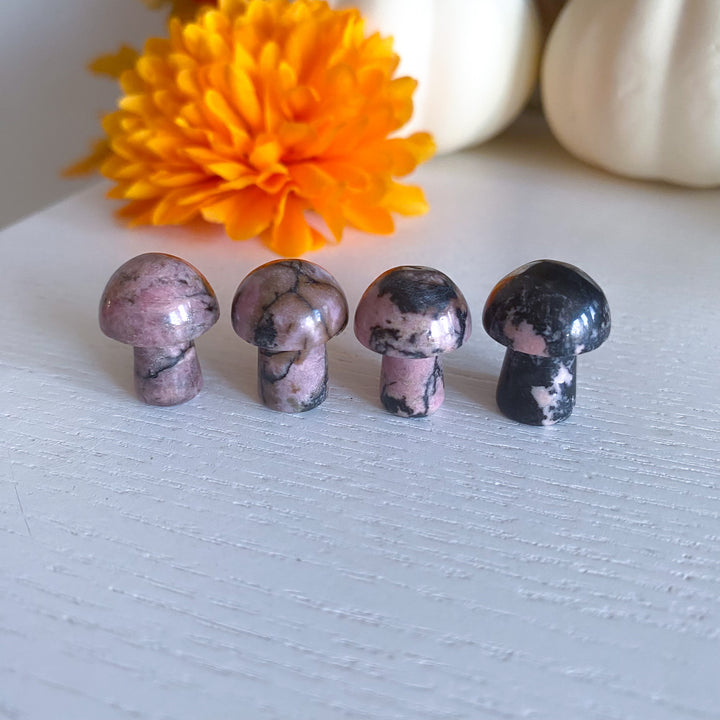 Rhodonite Mini Mushroom