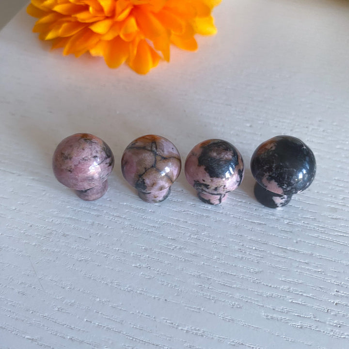 Rhodonite Mini Mushroom