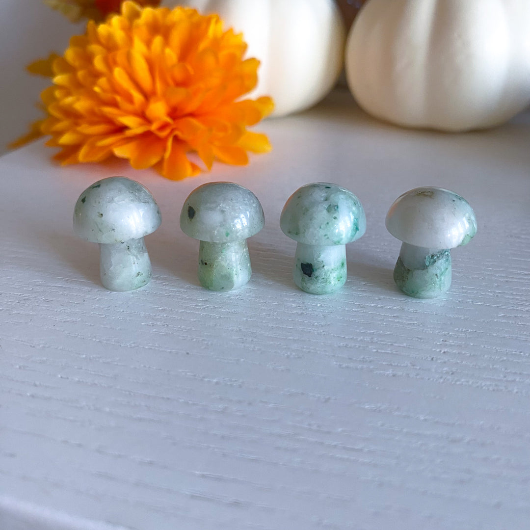 Phoenix Pine Mini Mushroom