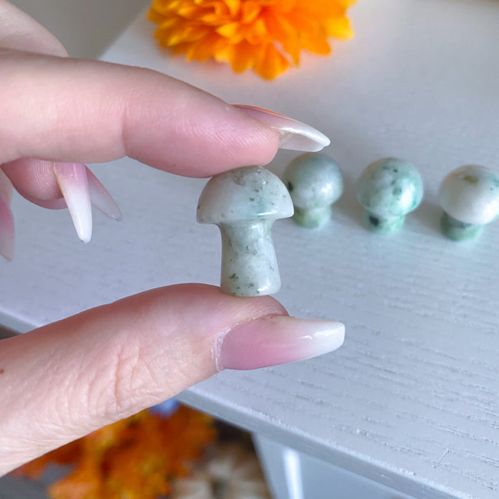Phoenix Pine Mini Mushroom