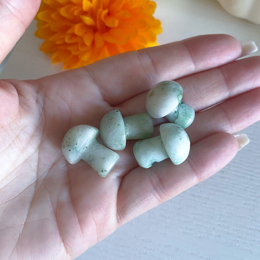 Phoenix Pine Mini Mushroom