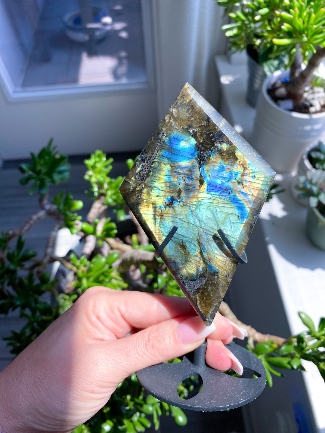 Stunning Labradorite Diamond on Stand 