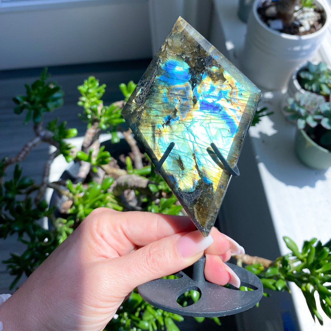 Stunning Labradorite Diamond on Stand 