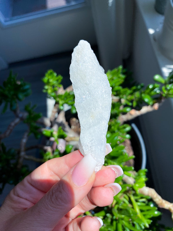 Small Rough Morganite Wand 