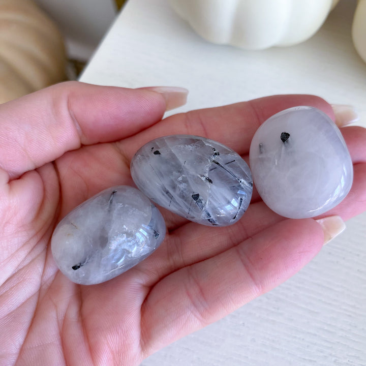 Black Tourmaline in Quartz Tumble