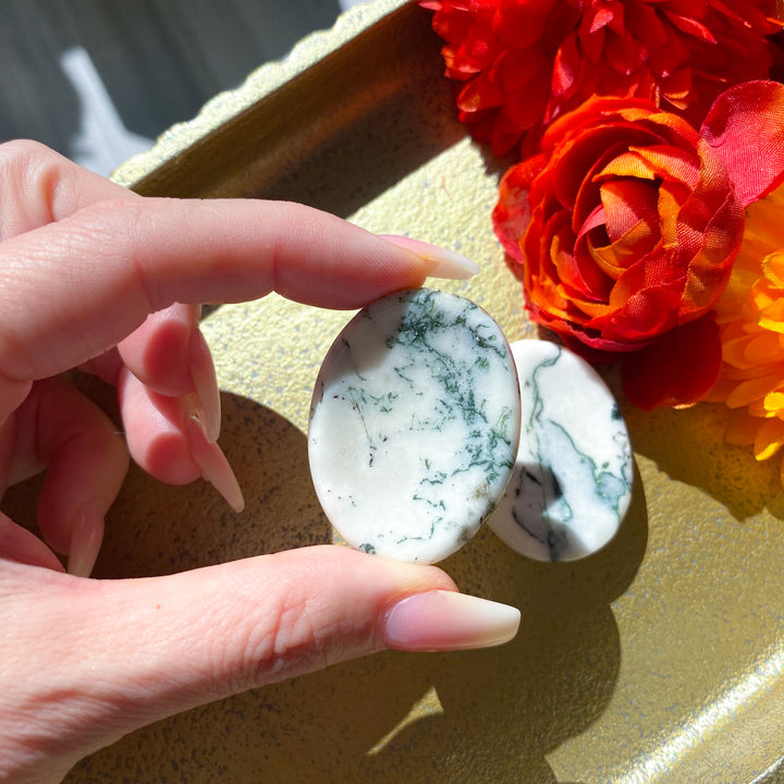 Tree Agate Worry Stone
