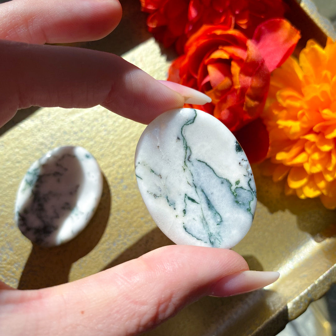 Tree Agate Worry Stone