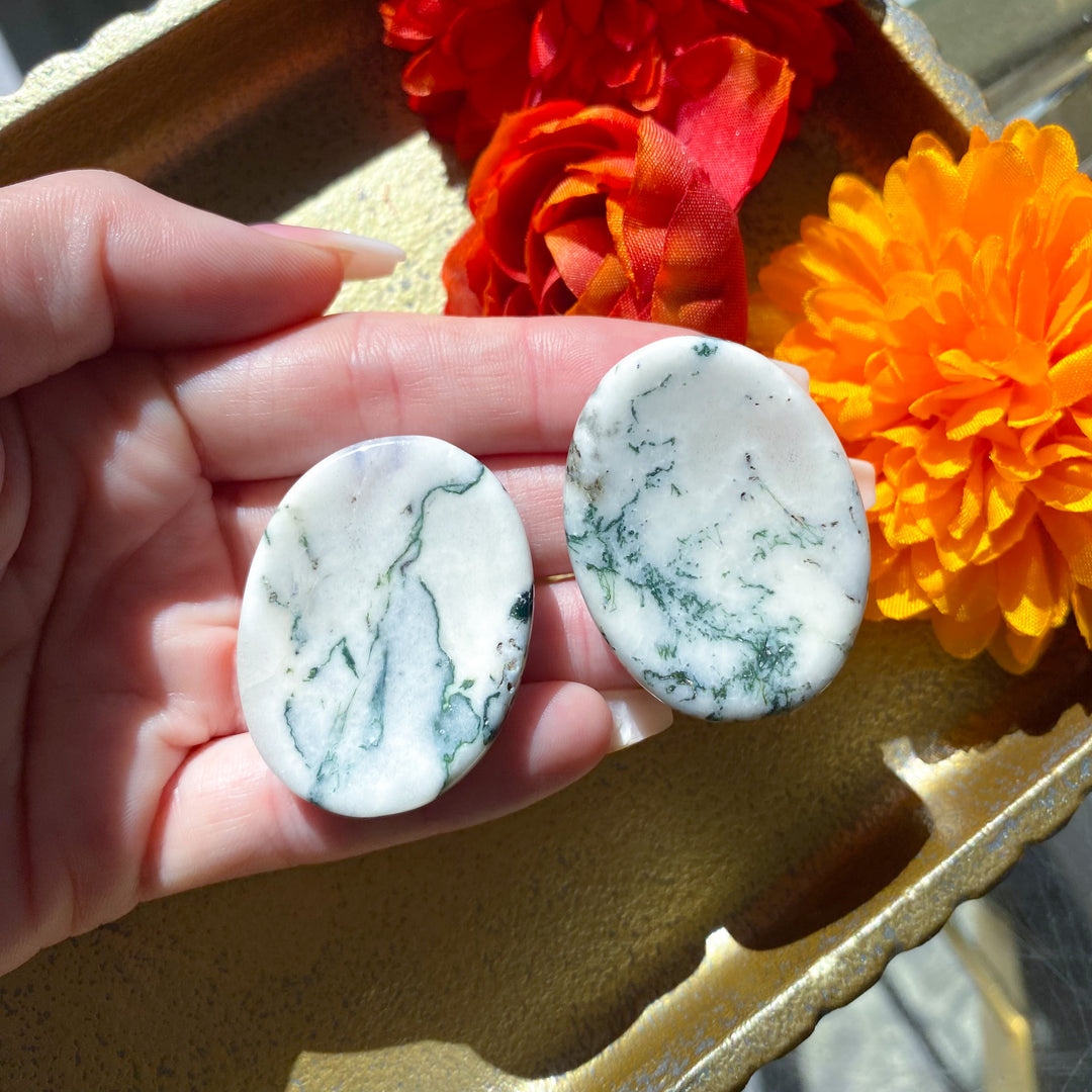 Tree Agate Worry Stone