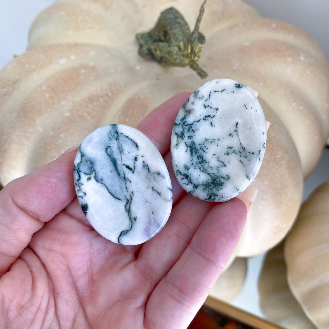 Tree Agate Worry Stone