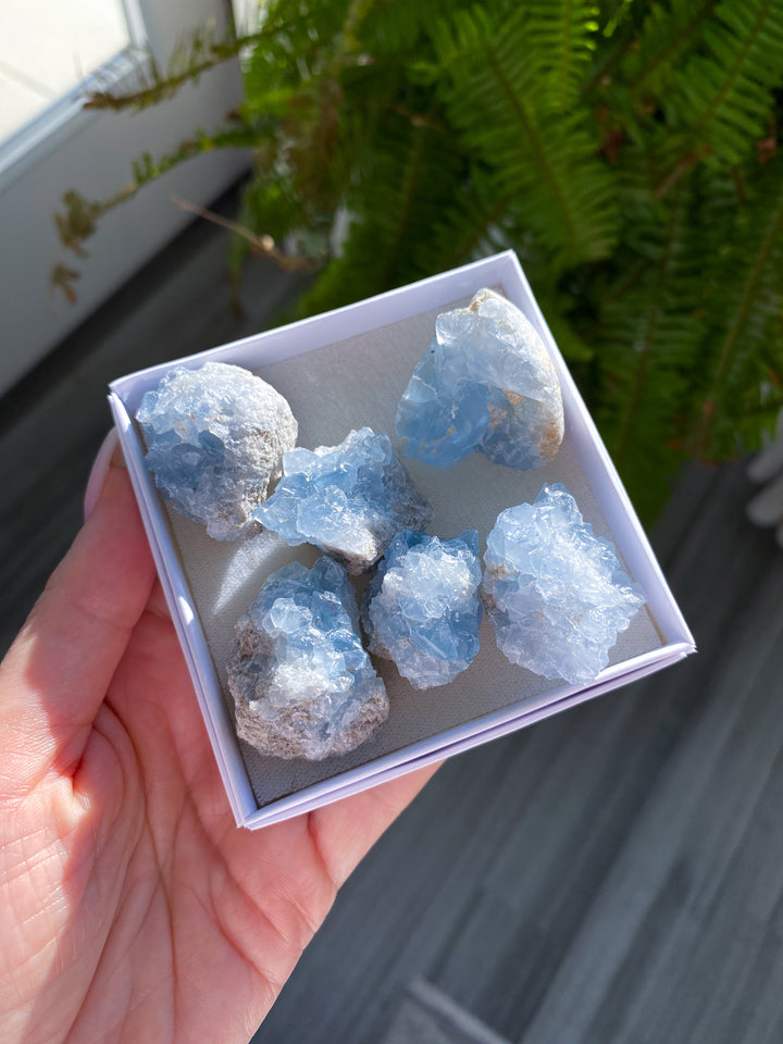 Celestite Mini Cluster