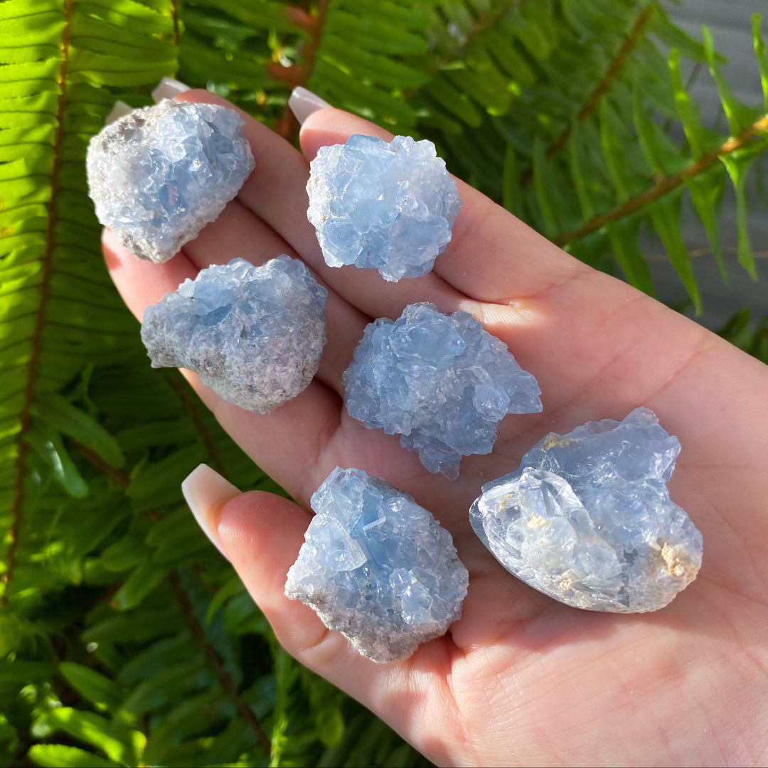 Celestite Mini Cluster