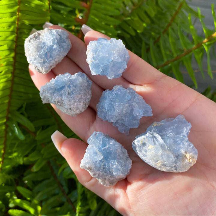 Celestite Mini Cluster