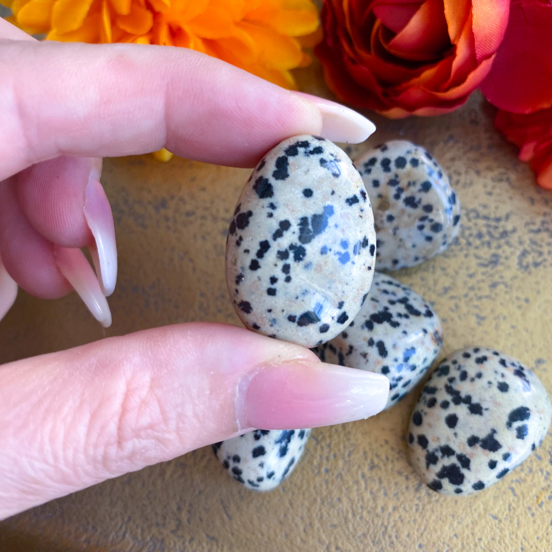 Dalmatian Jasper Tumble