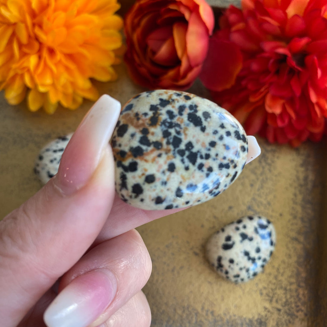 Dalmatian Jasper Tumble