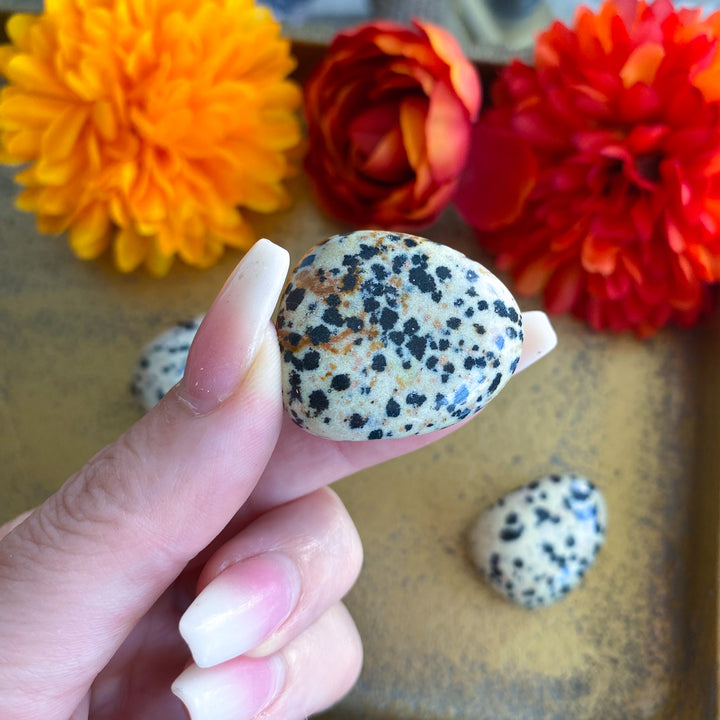 Dalmatian Jasper Tumble