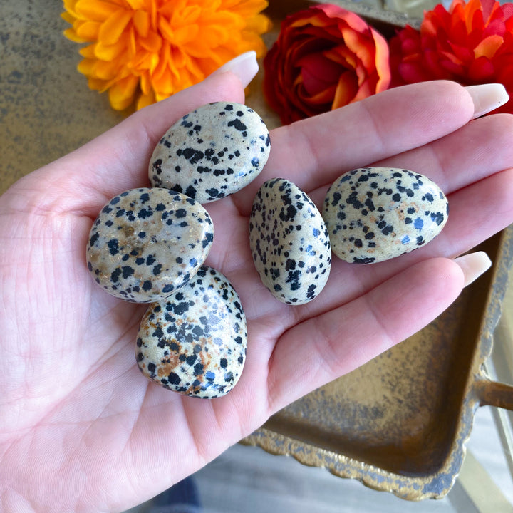 Dalmatian Jasper Tumble