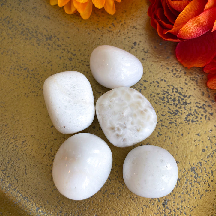 Scolecite Tumble