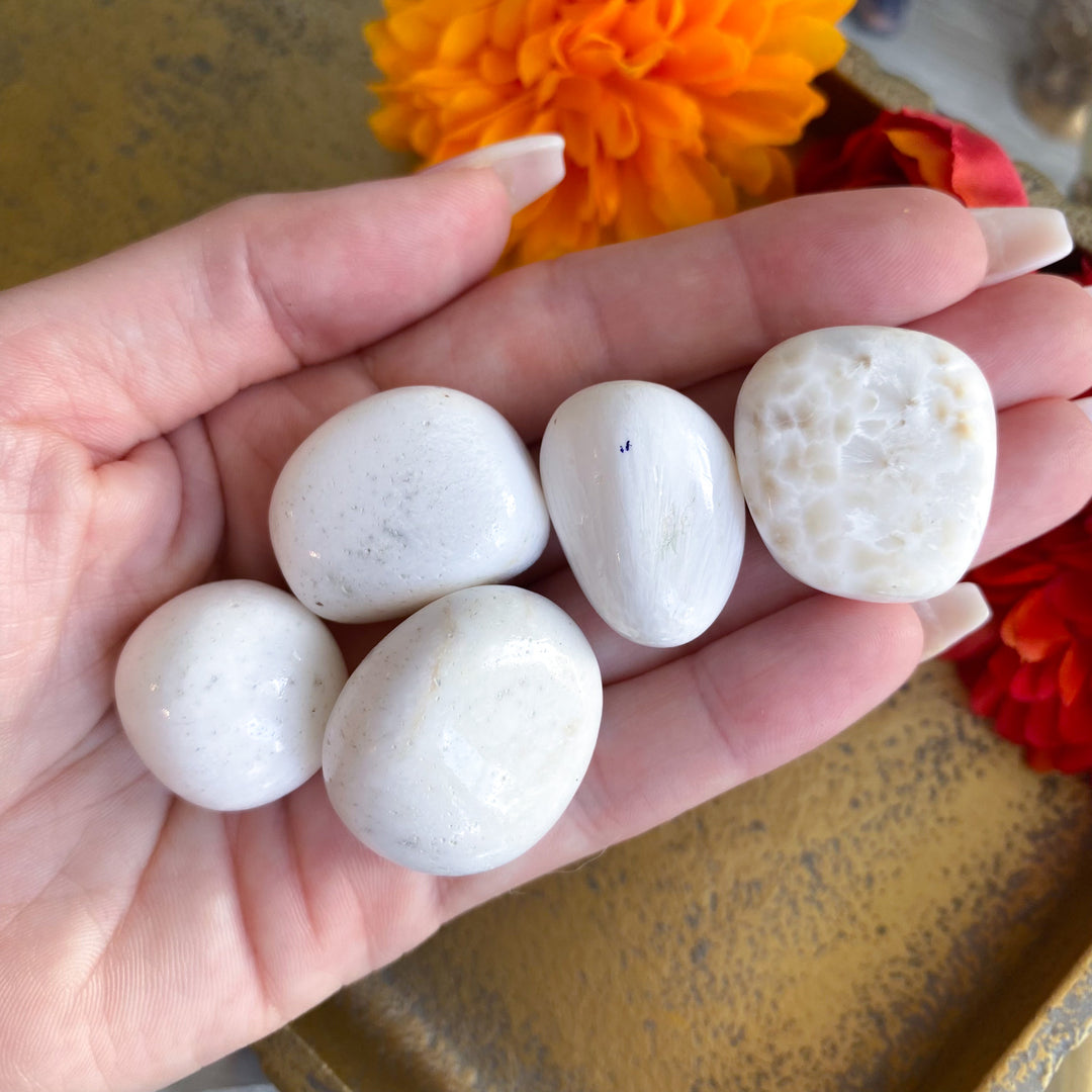 Scolecite Tumble