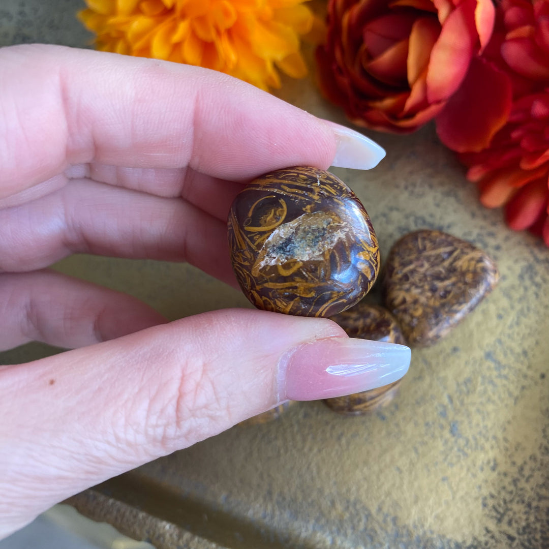 Rosetta Jasper Tumble