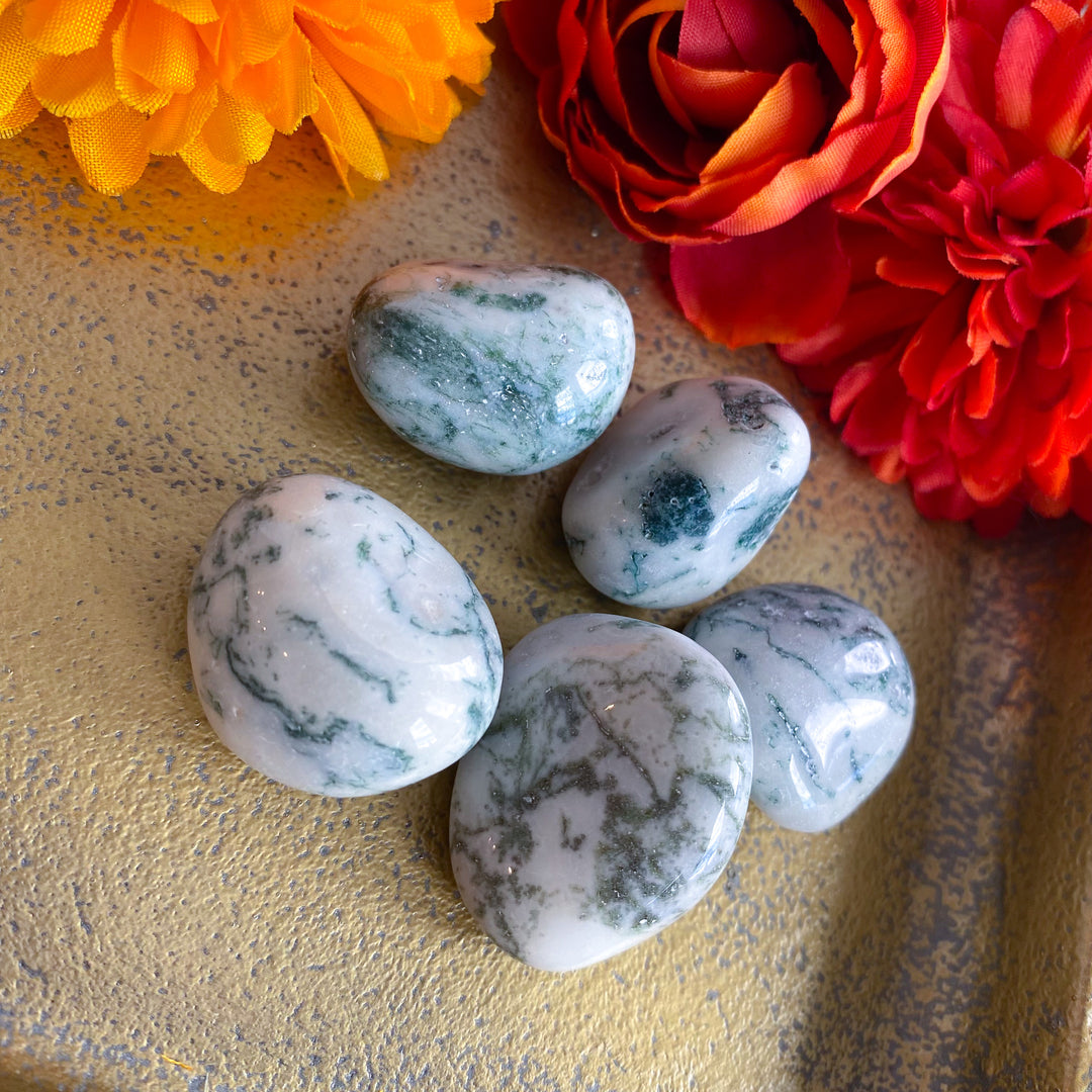 Tree Agate Tumble