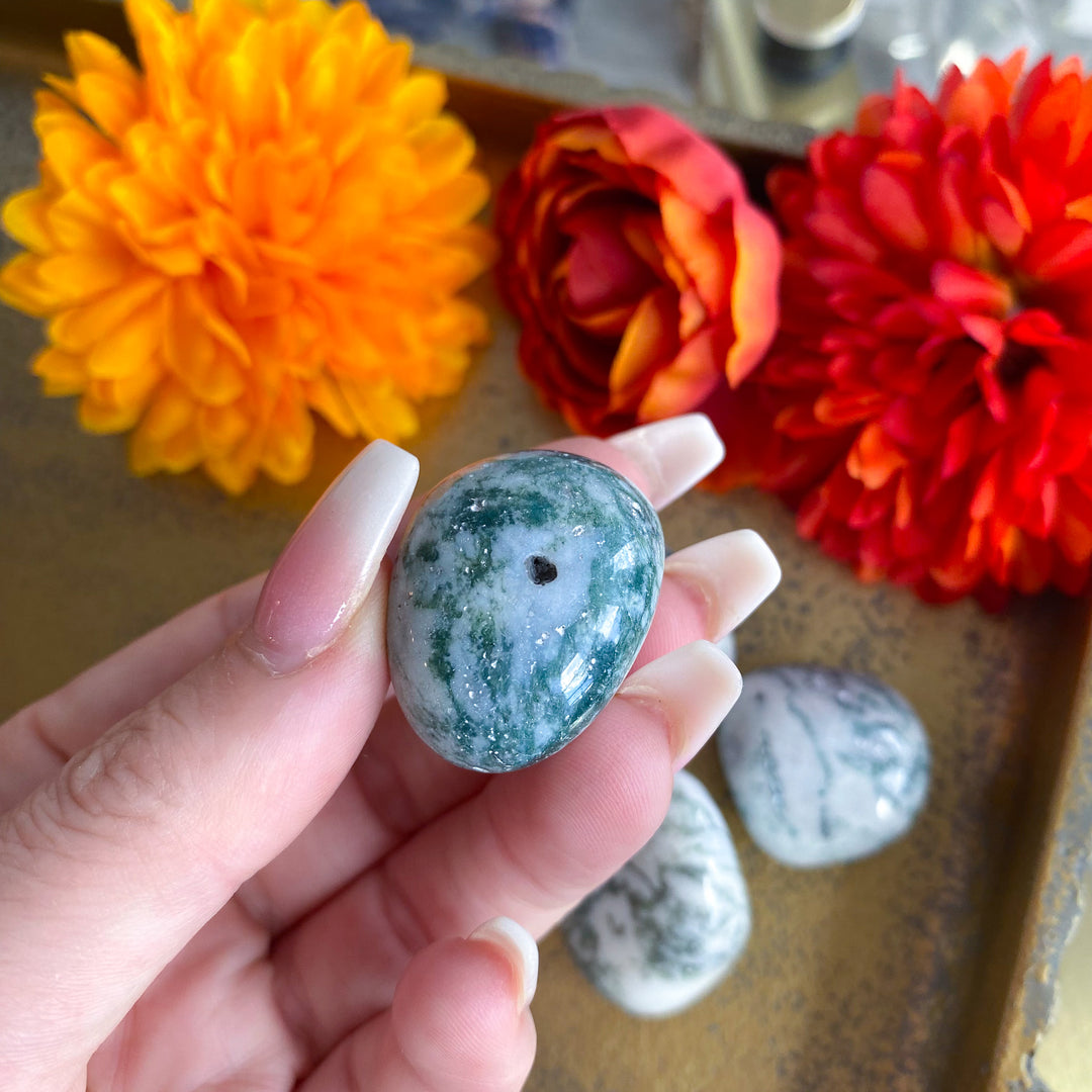 Tree Agate Tumble