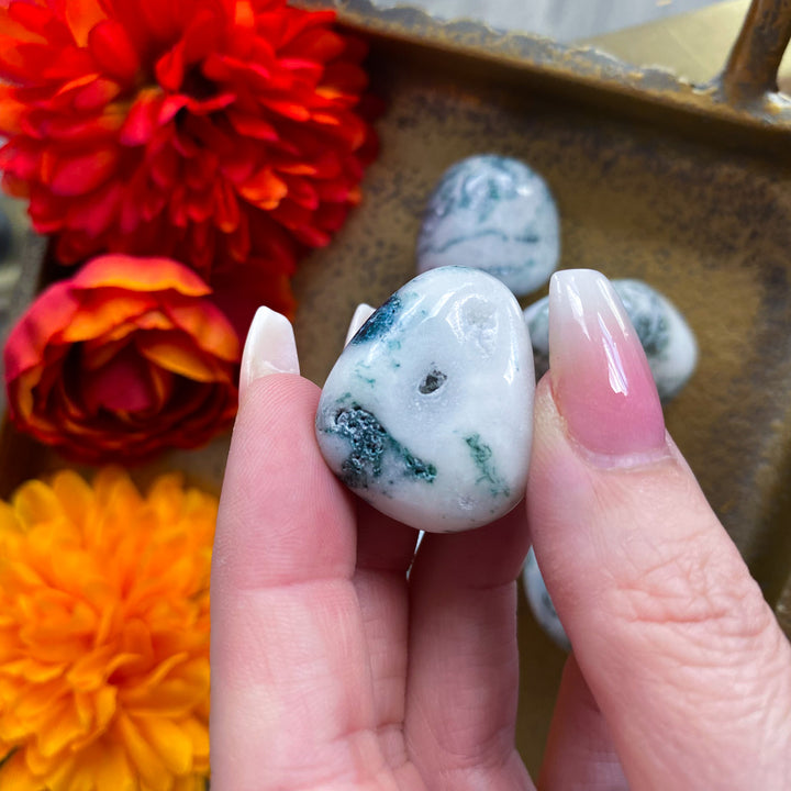 Tree Agate Tumble