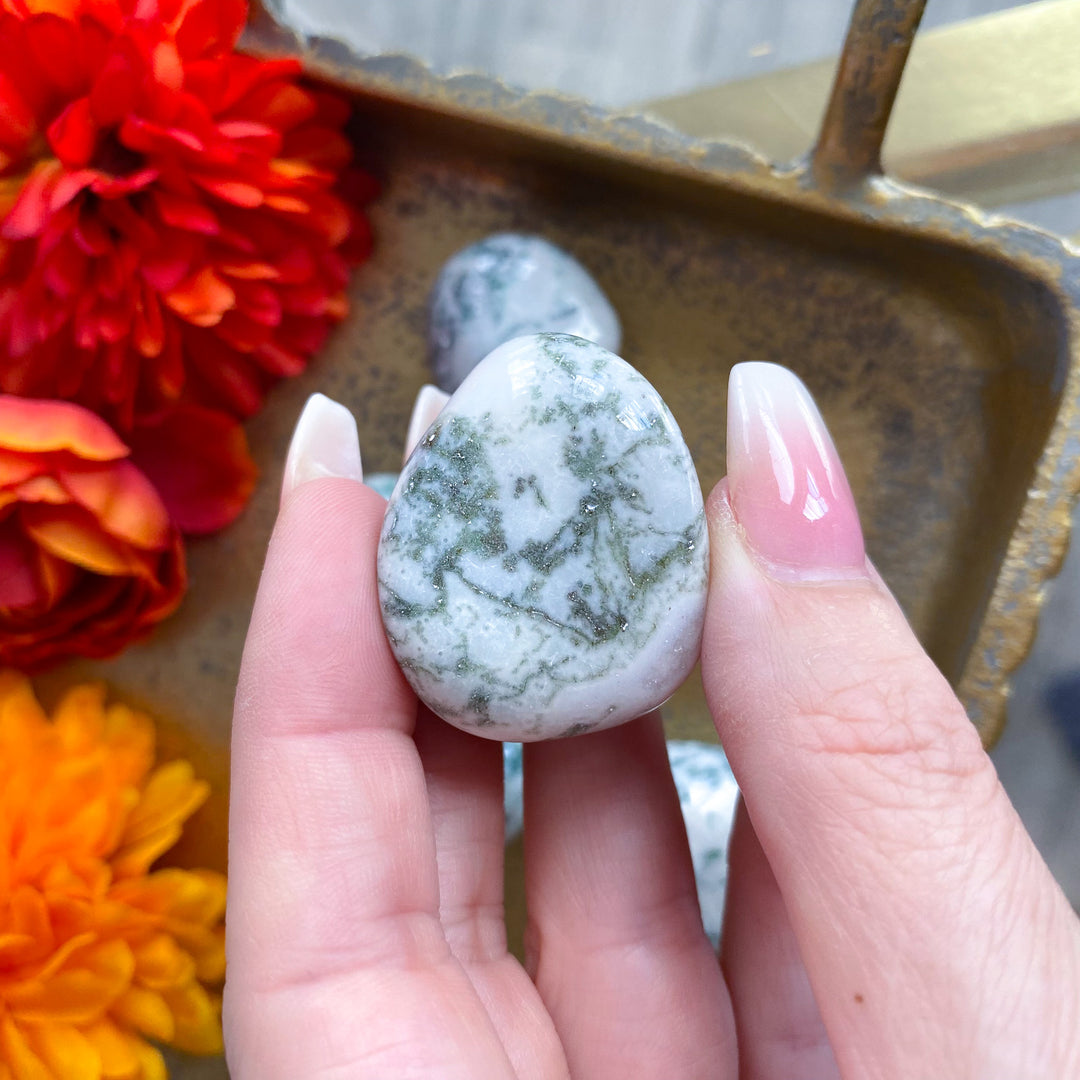 Tree Agate Tumble