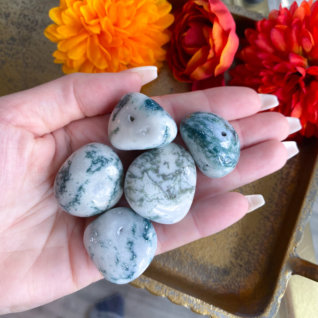 Tree Agate Tumble