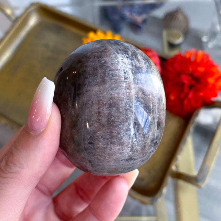 Circular Black Moonstone Palm Stone w/ Sheen 