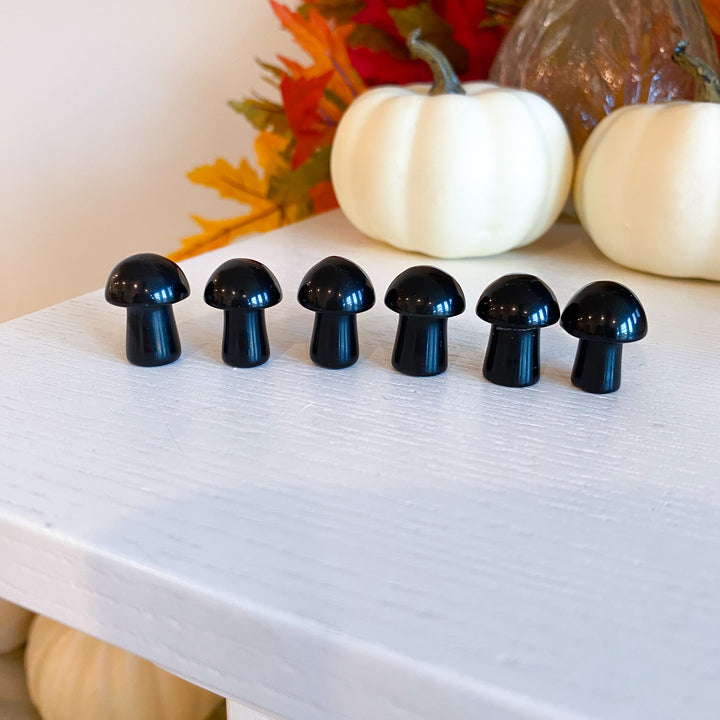 Black Obsidian Mini Mushroom