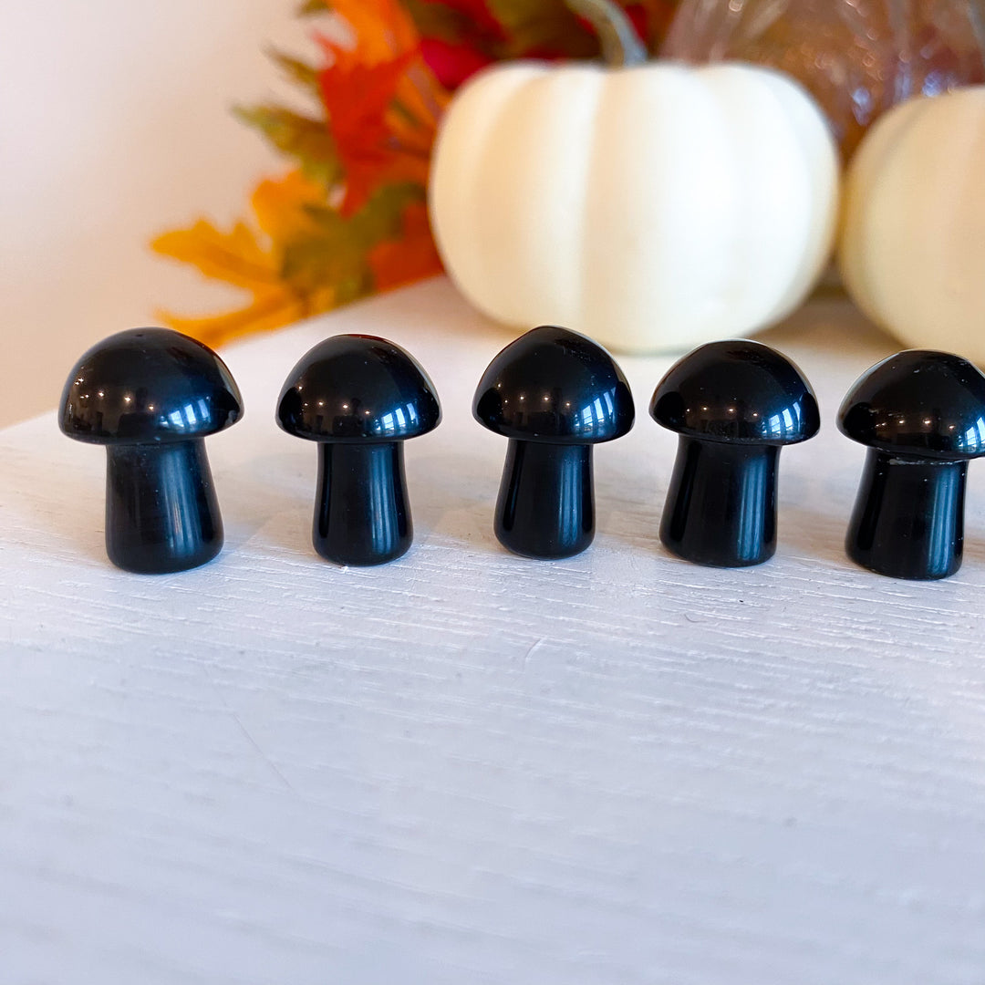 Black Obsidian Mini Mushroom