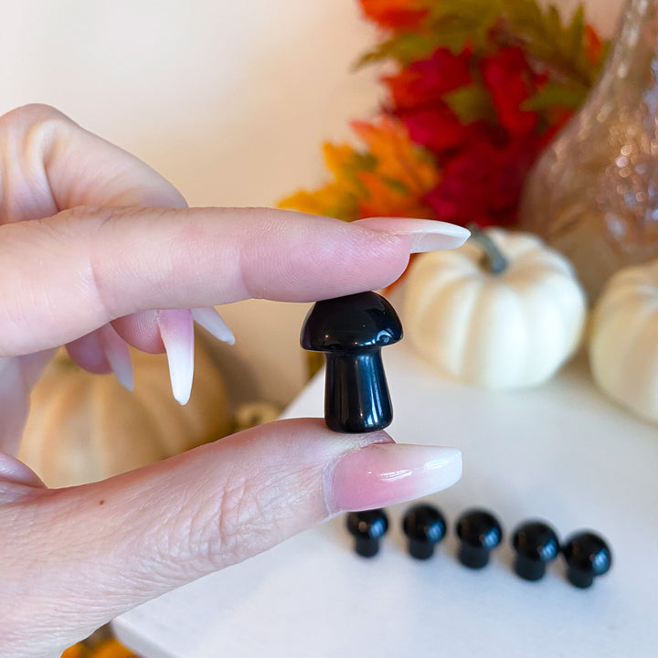 Black Obsidian Mini Mushroom