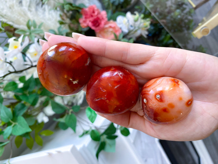 Carnelian Pebble Palm