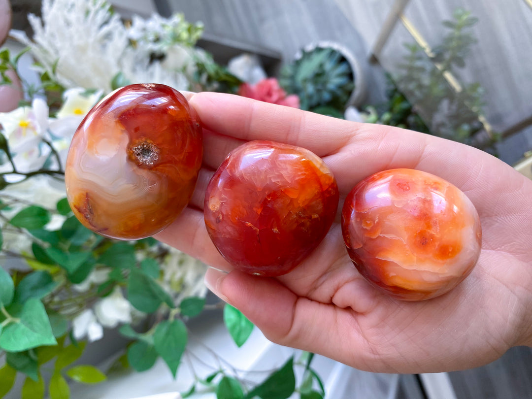 Carnelian Pebble Palm