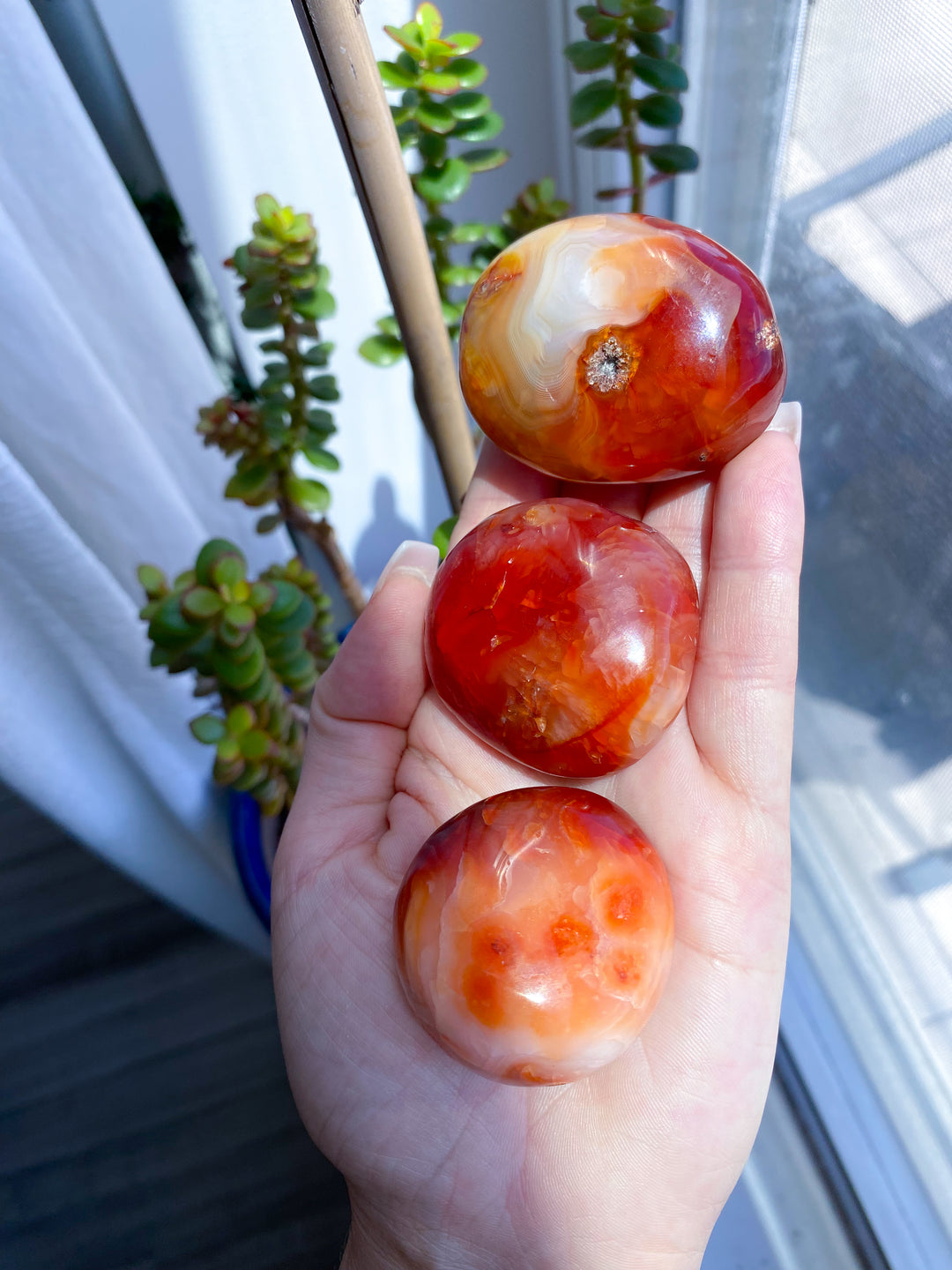 Carnelian Pebble Palm