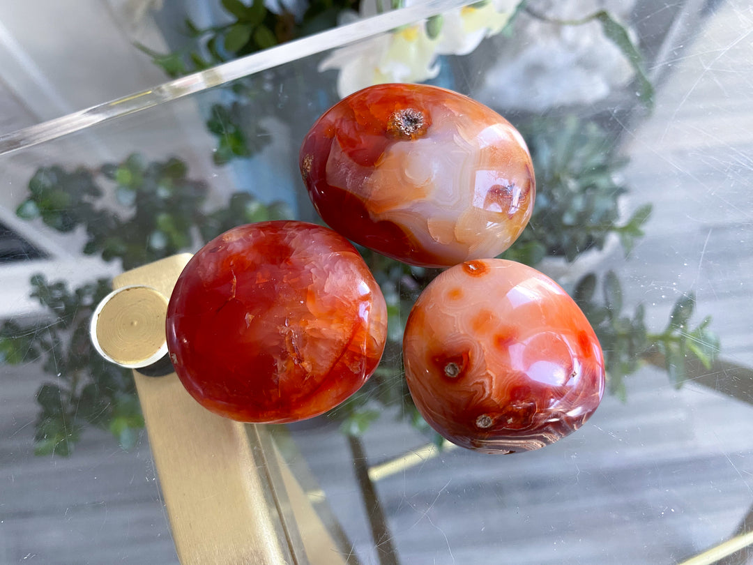 Carnelian Pebble Palm