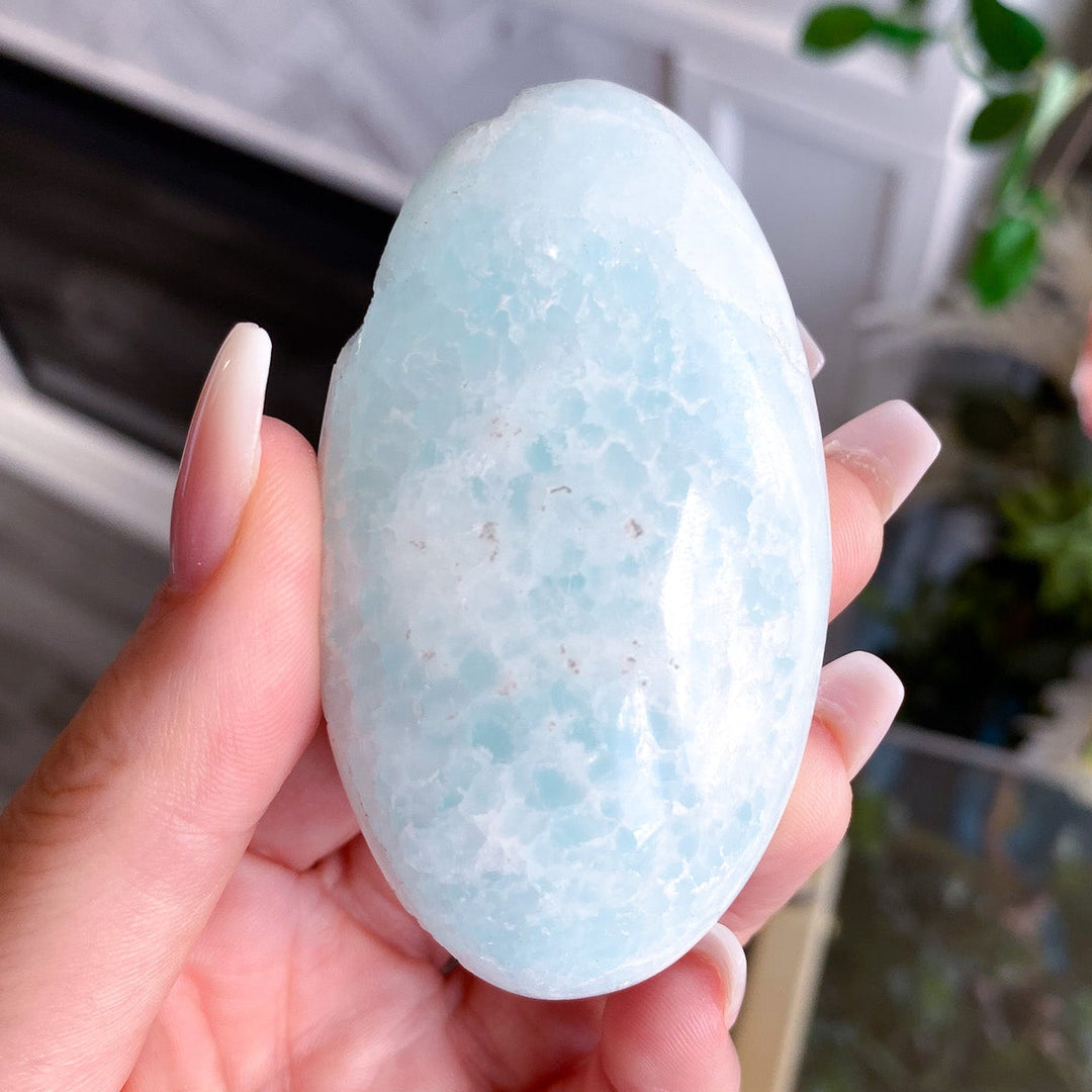 Imperfect Caribbean Calcite Palm Stone 