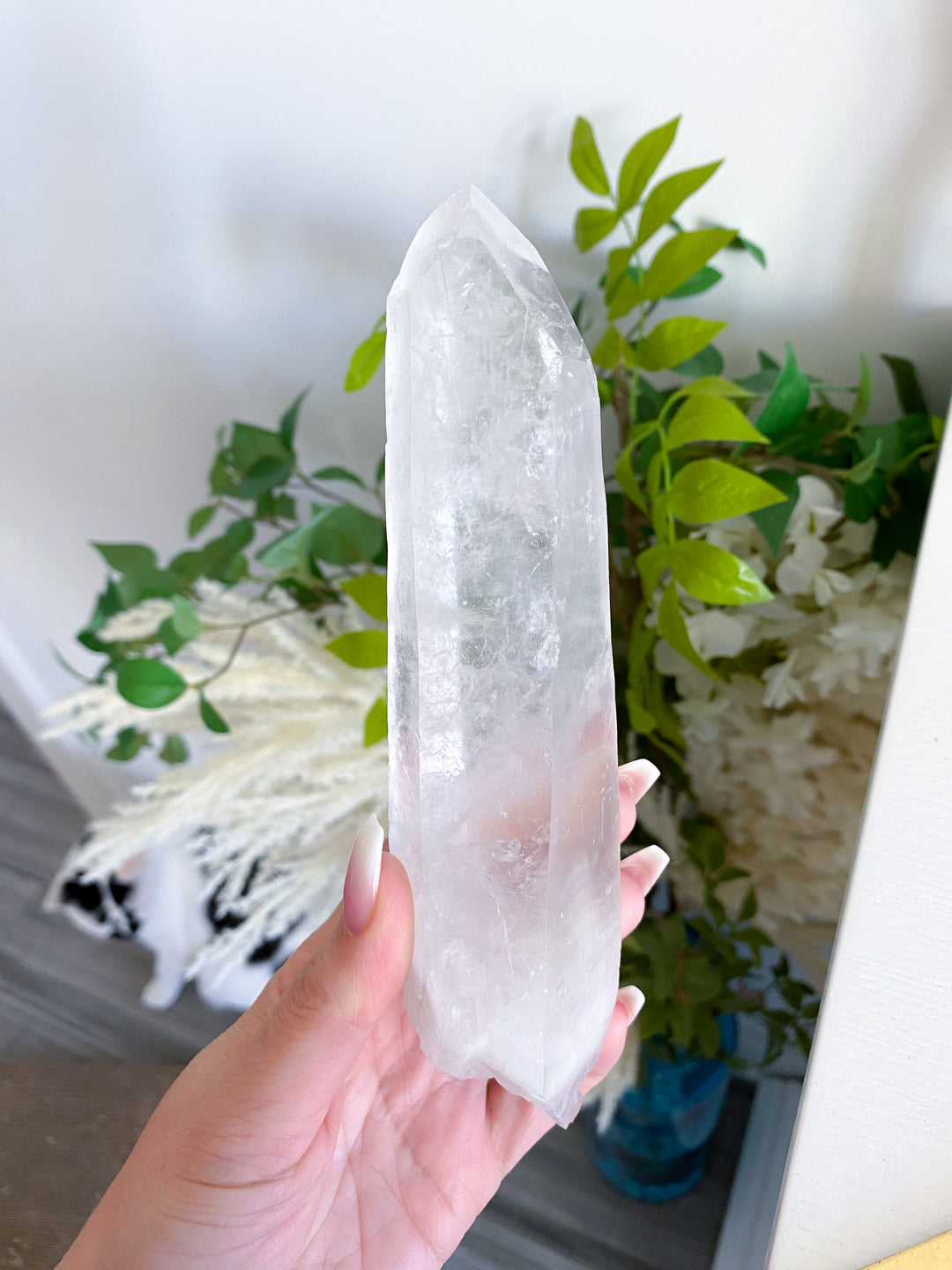 7" Lemurian Star Seed Quartz Wand