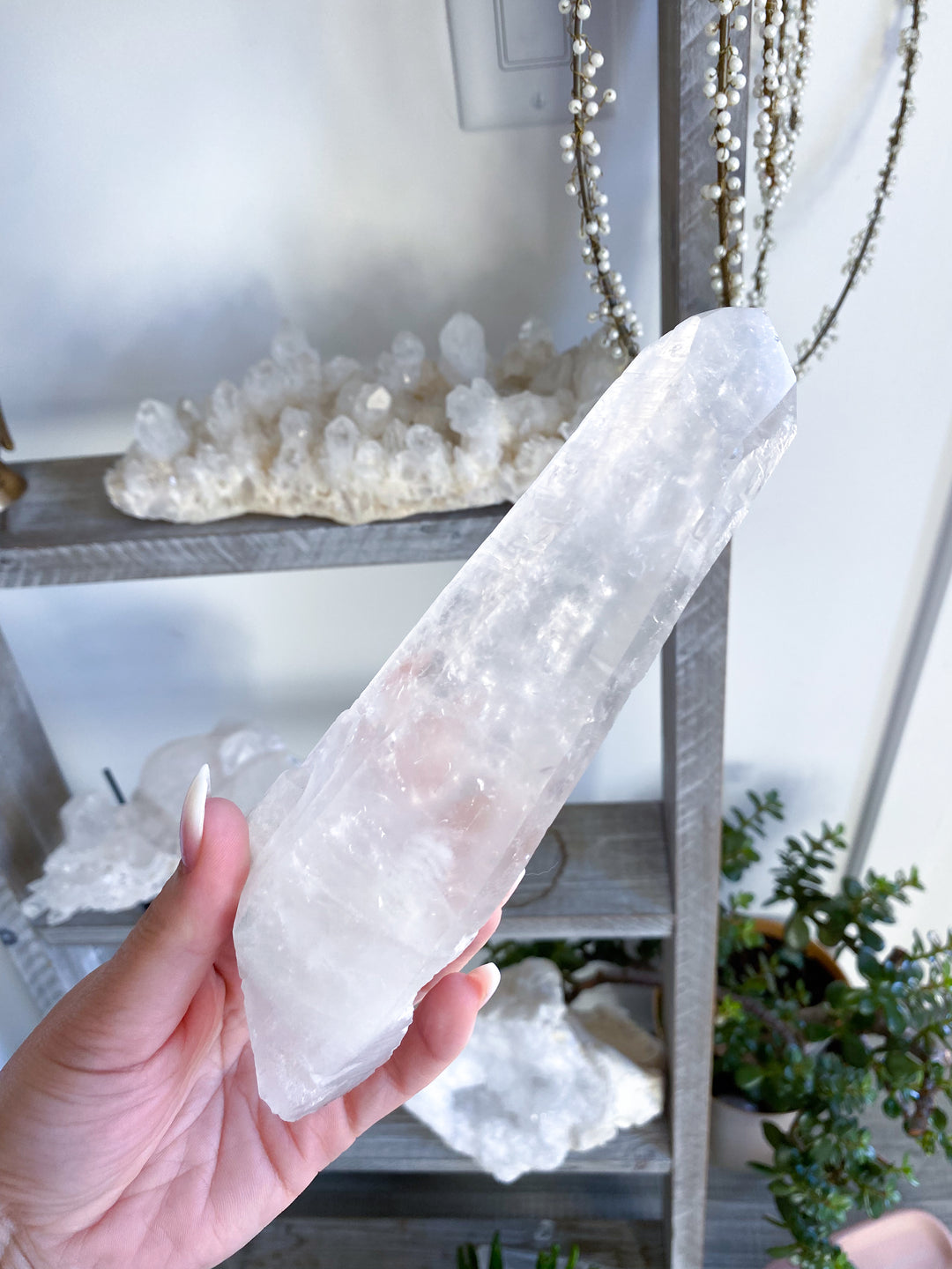 7" Lemurian Star Seed Quartz Wand