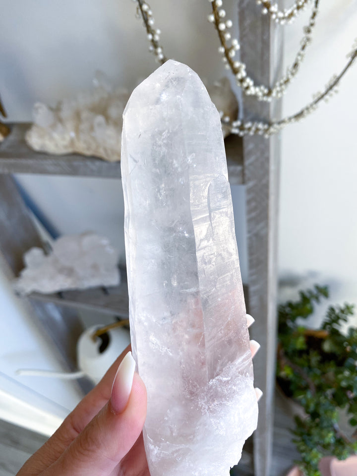 7" Lemurian Star Seed Quartz Wand