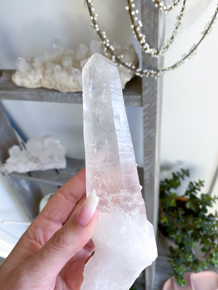 7" Lemurian Star Seed Quartz Wand