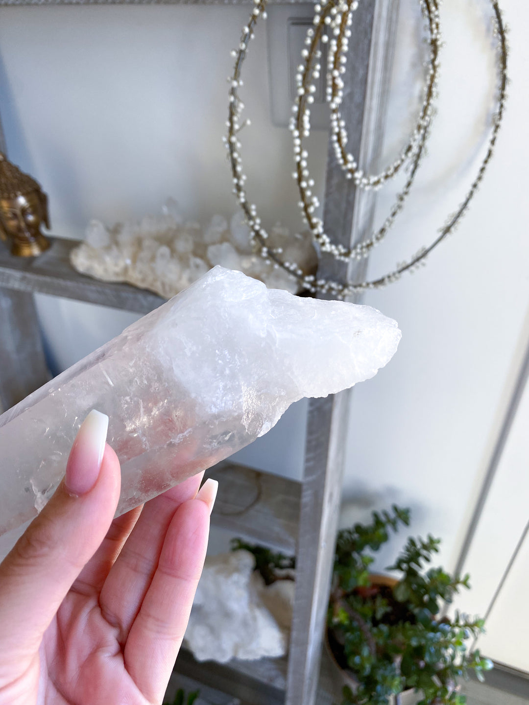 7" Lemurian Star Seed Quartz Wand