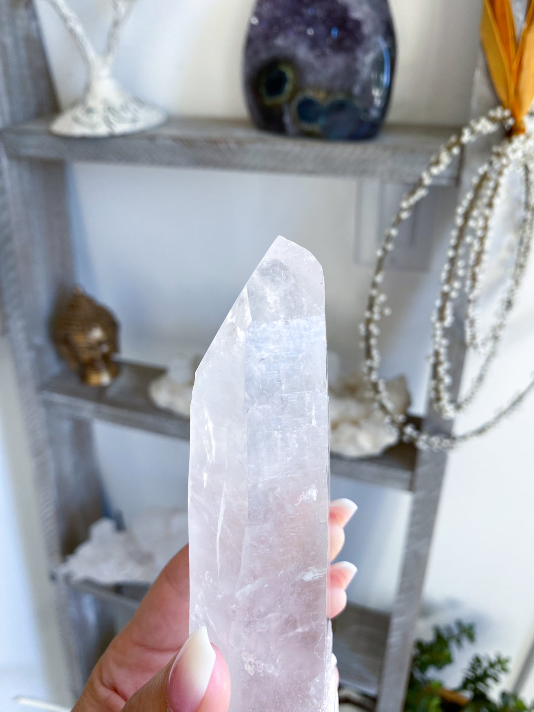 7" Lemurian Star Seed Quartz Wand