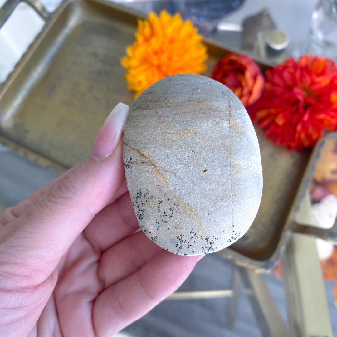 Beige Picture Jasper Palm 