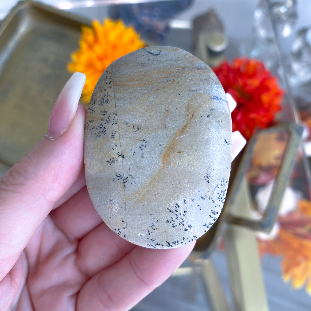 Beige Picture Jasper Palm 