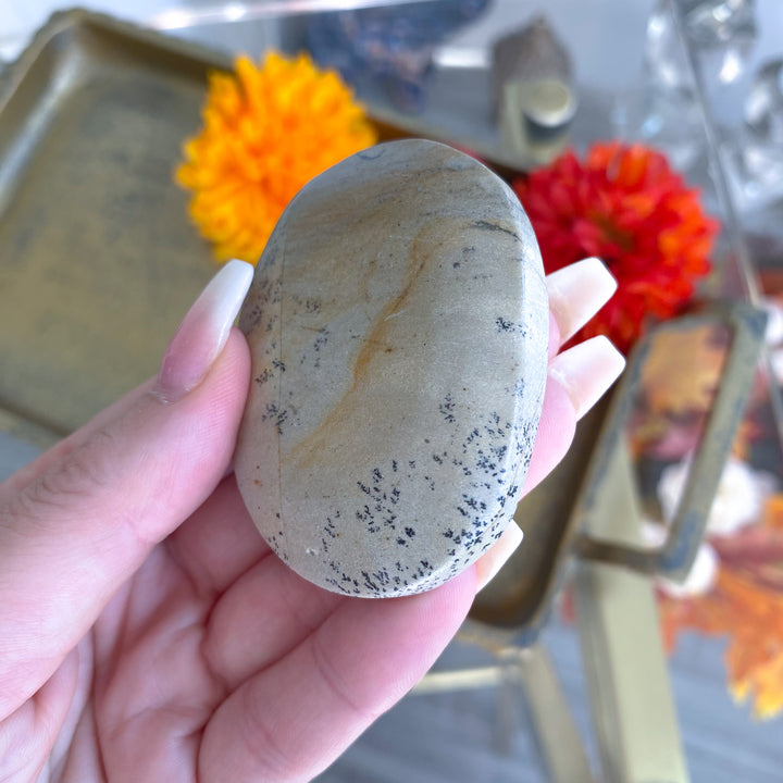 Beige Picture Jasper Palm 