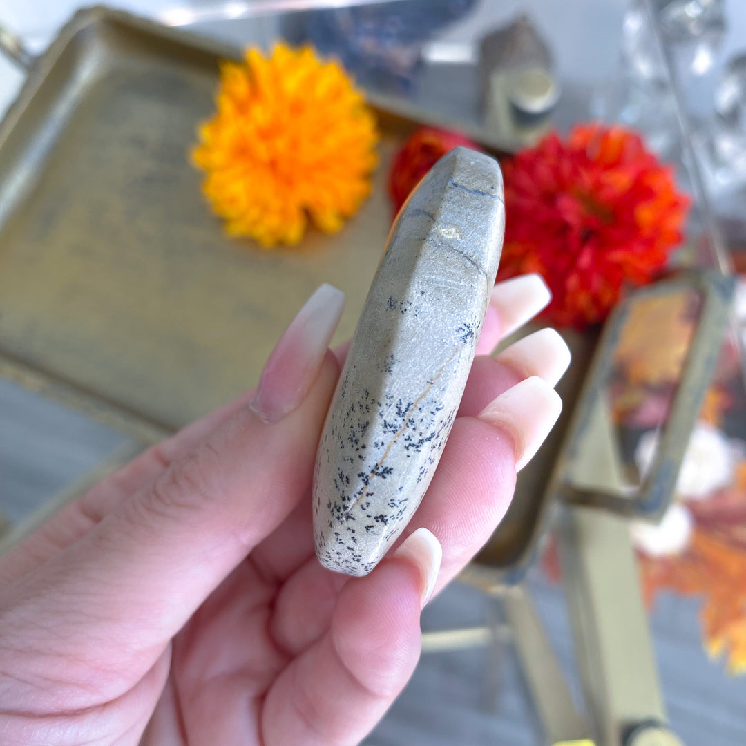 Beige Picture Jasper Palm 