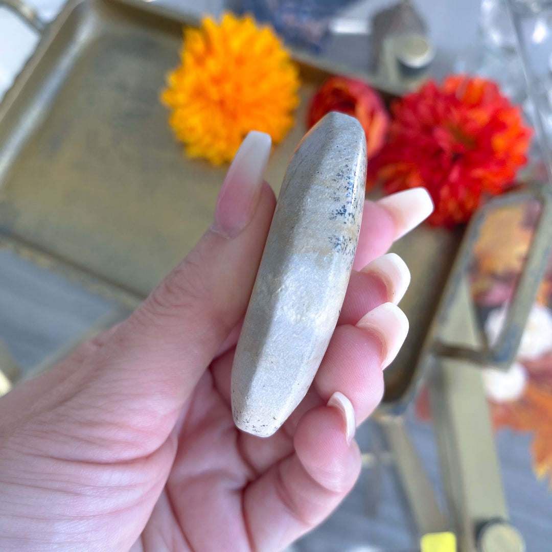 Beige Picture Jasper Palm 
