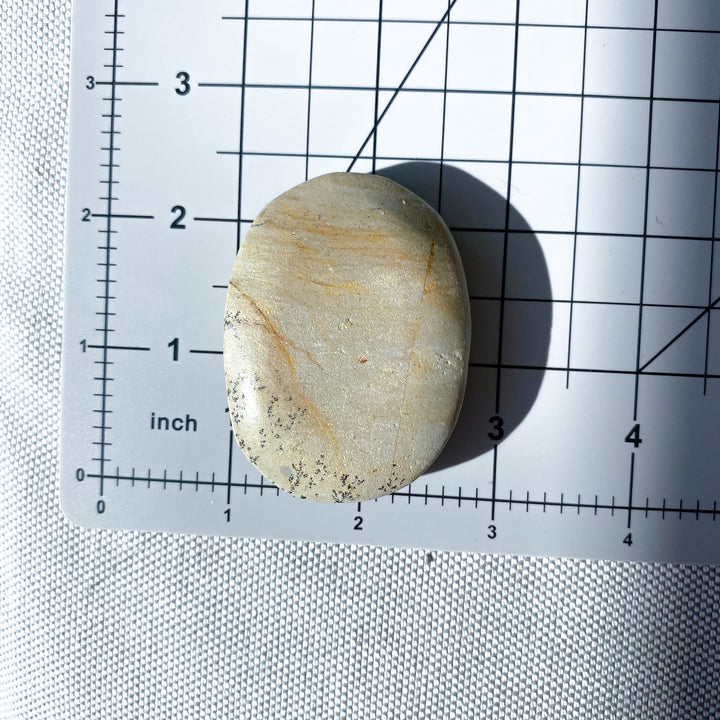 Beige Picture Jasper Palm 